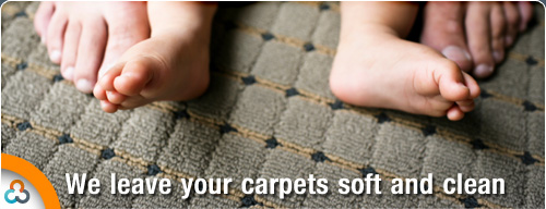 carpet steam cleaning